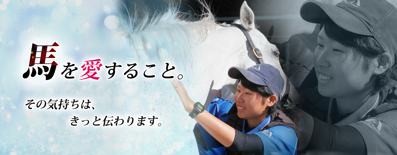 馬を愛すること。その気持ちは、きっと伝わります。