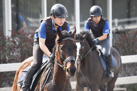 競走騎乗のトレーニングに取り組む学生