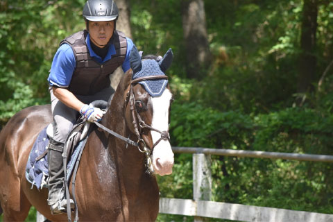 牧場実習で競走馬に騎乗する学生